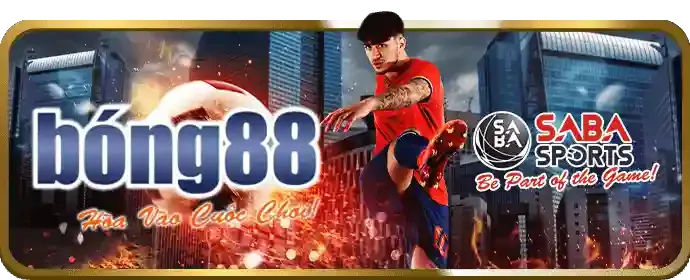 Hướng dẫn cá cược thể thao K8BET